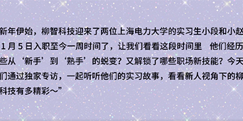 新人视角：柳智科技两位实习生的真实体验